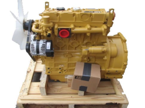 Cat 3024C engine